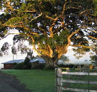 Arley Farm The Old Dairy - Goulburn Accommodation