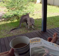Bush and Bay Cottage - Goulburn Accommodation