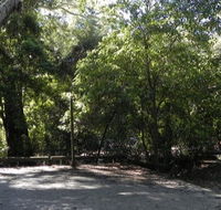 Booderee National Park Green Patch camping area - Goulburn Accommodation