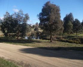 Delegate Caravan Park - Goulburn Accommodation 0