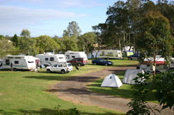 Dawson River Tourist Park - Goulburn Accommodation 1