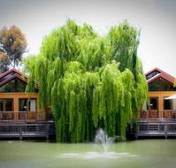 Perricoota Vines Retreat - Goulburn Accommodation