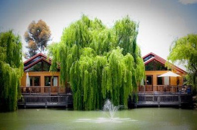 Perricoota Vines Retreat - Goulburn Accommodation 0
