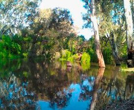 Wanganella Creek Camp Park - Goulburn Accommodation 1