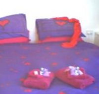 Aloomba Lavender - Accommodation - Goulburn Accommodation
