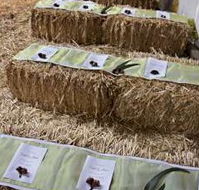 Bathurst Goldfields Accommodation - Goulburn Accommodation