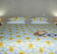 Keswick Island Guest House and Bed and Breakfast - Goulburn Accommodation