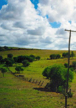 Mango Hill Cottages Bed And Breakfast - Goulburn Accommodation 2