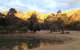 Possums Hollow And Hooters Hut - thumb 1