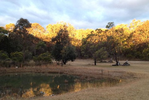 Possums Hollow And Hooters Hut - Goulburn Accommodation 1