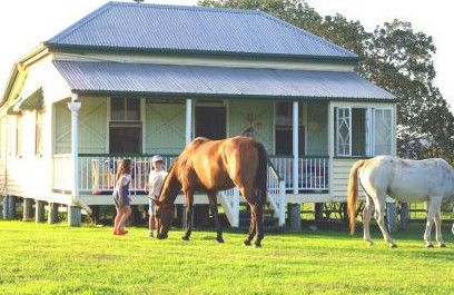 Cedar Glen Farmstay - Goulburn Accommodation 5
