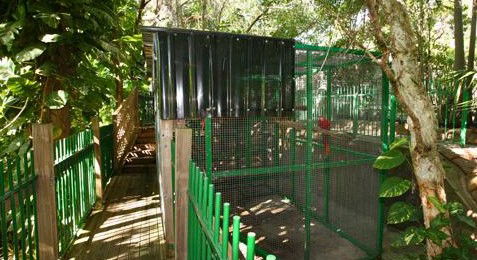 Ashmore Palms Holiday Village - Goulburn Accommodation 3