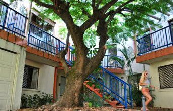 Sleeping Inn Backpackers Resort - Goulburn Accommodation 0
