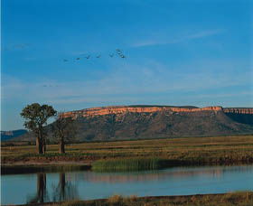 El Questro Homestead - Goulburn Accommodation 0