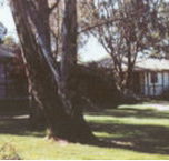 Winbi River Resort - Goulburn Accommodation