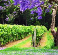 Bago Vineyards - Goulburn Accommodation