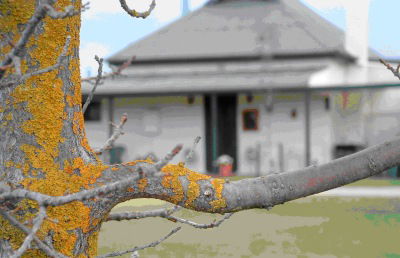Dunalan Host Farm Cottage - Goulburn Accommodation 1