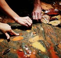 Daintree Eco Lodge And Spa - Goulburn Accommodation