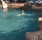 Undara Experience Lava Lodge - Goulburn Accommodation
