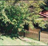 Apple Tree Cottage - Goulburn Accommodation
