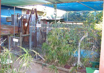 Safari Lodge Motel - Goulburn Accommodation 1