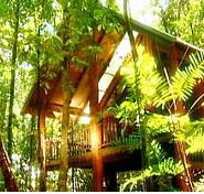 The Canopy Treehouses - Goulburn Accommodation