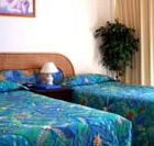 International Beach Resort - Goulburn Accommodation