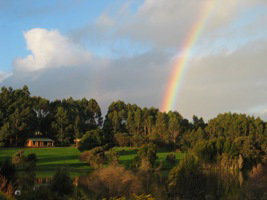 Lavender And Berry Farm - Goulburn Accommodation 3