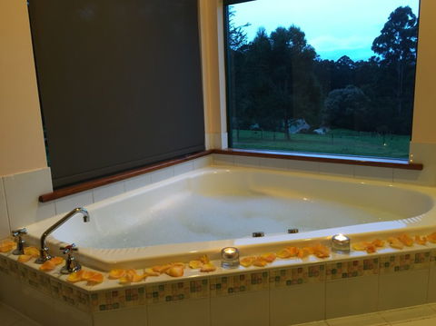 Walpole Wilderness Resort - Goulburn Accommodation 1