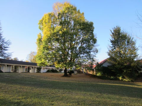 Moore Park Inn - Goulburn Accommodation 0