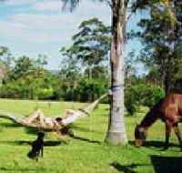 Neds Bed Horse O Tel - Goulburn Accommodation
