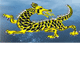 Dragon Phoenix Motel amp Restuarant - Goulburn Accommodation