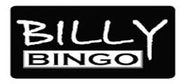Billy Bingo @ Village Green Hotel - Goulburn Accommodation 0