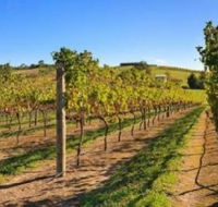 DeVine Escape - Goulburn Accommodation