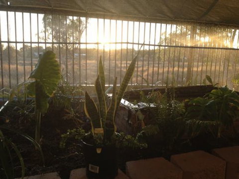 Cityside Accommodation | Mt Isa - Goulburn Accommodation 5