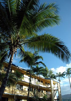 Palms At Trinity - Goulburn Accommodation 3