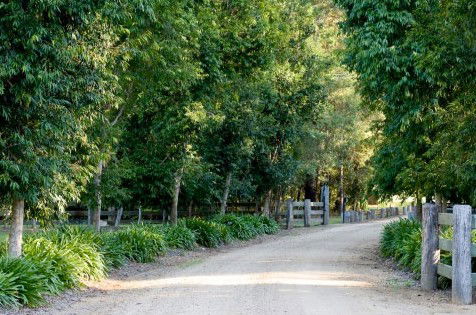 The Plantation - Goulburn Accommodation 0