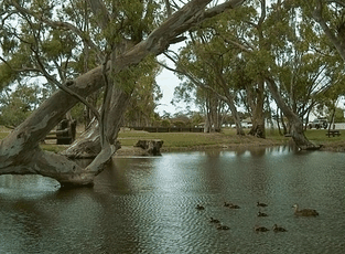 Bordertown Abode Parkland Motel - Goulburn Accommodation 2