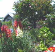 Hopfield Country Cottages - Goulburn Accommodation