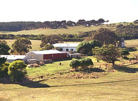 Sun Valley Eco Farm - Goulburn Accommodation 0