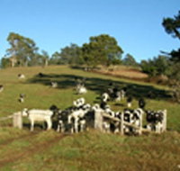 St Columba Cottage - Goulburn Accommodation