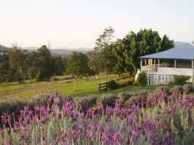 Blue Ridge Lavender Farm And Retreat - Goulburn Accommodation 0