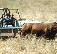 Bullo River Station - Goulburn Accommodation