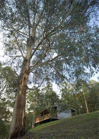 Toorongo VIC Goulburn Accommodation