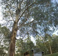 Outpost Restaurant - Goulburn Accommodation