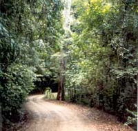 Mt Glorious Getaway Cottages And Conference Centre - Goulburn Accommodation
