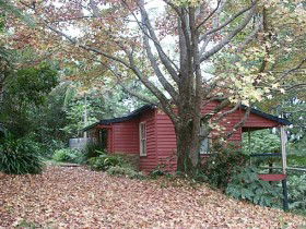 Turkeys Nest Rainforest Cottage - Goulburn Accommodation 0