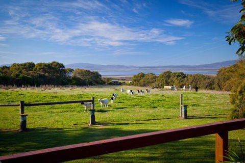 Coastal View Cabins - Goulburn Accommodation 9