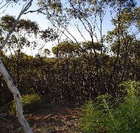 Lions Dryandra Woodlands Village - Goulburn Accommodation