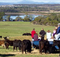 Bonny Brae - Goulburn Accommodation
